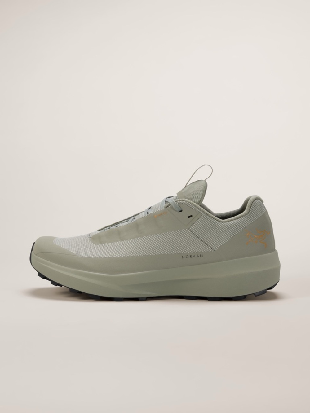 Norvan LD 4 GTX Men's Trail Shoe - Habitat